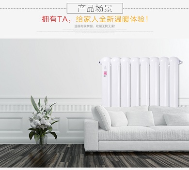 羞羞视频网站入口十大品牌是什么