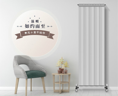 羞羞视频网站入口十大品牌是什么