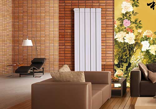 羞羞视频网站入口十大品牌